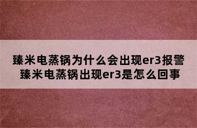 臻米电蒸锅为什么会出现er3报警 臻米电蒸锅出现er3是怎么回事